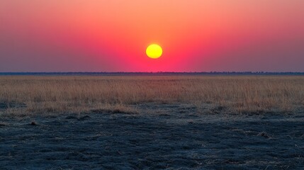 Obraz premium A vibrant sunset paints the sky with hues of pink and orange as the sun dips below the horizon over a vast, dry, grassy plain.