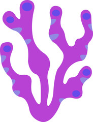 Coral Illustration