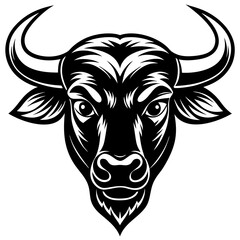 head of bull