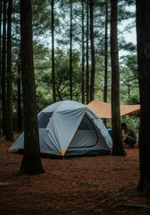Peaceful forest camping: scenic tent and canopy setup in serene woodland