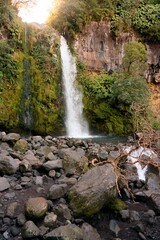 Dawson Falls in New Zealand - Majestic Waterfall Nature