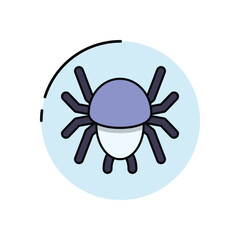 Spider vector icon