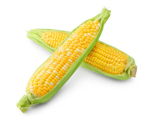 Fresh corn on cob isolated on white background. clipping path