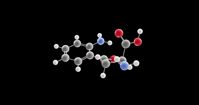 Kynurenine molecule, rotating 3D model of amino acid, looped video on a black background