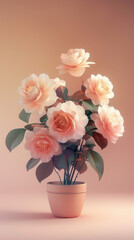 Pink Camellia Flowers in Pot