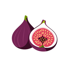 Fig Fruit and slice vector illustration
