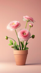 Pink Ranunculus in a Terracotta Pot