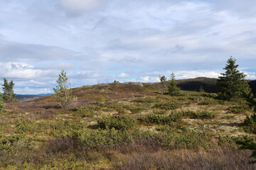 Norwegian landscape