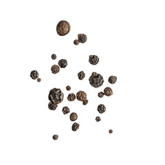 Levitating or flying organic scented dried peppercorn or black pepper isolated on white background used as a spice and seasoning for its spicy hot flavor from piperine for cooking aromatic food