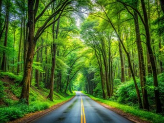 Obraz premium Serene Road Through Lush Green Forest Surrounded by Tall Trees and Vibrant Natural Scenery