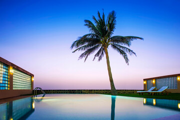 Crystal Clear: Poolside Bliss Under the Palm