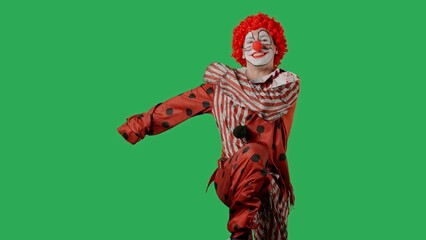 Funny clown on green screen chroma key.