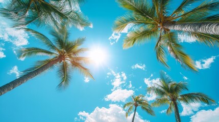 A low angle view of palm trees swaying in the wind against a bright blue sky with white clouds and the sun shining.