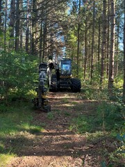 Fototapeta premium A forestry machine parked on a forest trail surrounded by tall trees, prepared for logging or maintenance work in the woods under a clear sky.