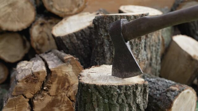 Axe embedded in a log surrounded by rustic firewood stacks