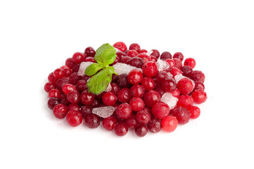 Frozen Lingonberry, Iced Cowberry, Snow Cranberry, Red Viburnum Berries, Frozen Lingonberry