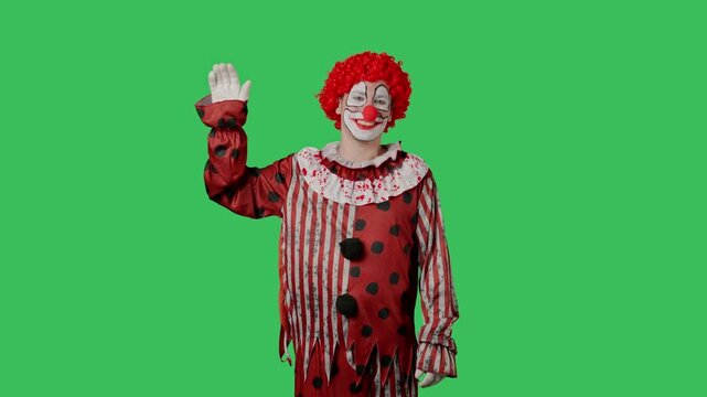 Funny clown on green screen chroma key.