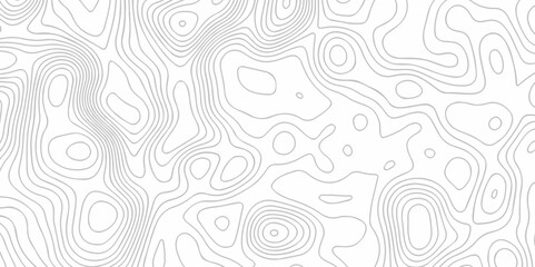 Vector lines pattern seamless sea map topography design. White wave paper curved reliefs Contour maps. 