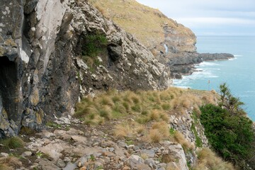 Haylocks Bay at Akaroa Head Scenic Reserve - Beautiful Coastal View