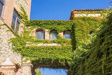 Bridge between two houses covered in climbing ivy in Segovia, Spain