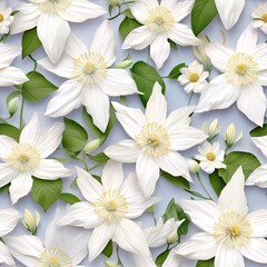 Fototapeta premium Beautiful Flowers of Clematis Paniculata, Cloud-Like Blooming White Clematis