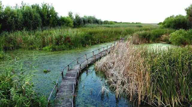 Flight above Jegricka Nature park, revealing a picturesque wooden footbridge spanning the marshy turquoise river.
