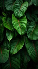 Fototapeta premium Green leaves of a philodendron plant wallpaper for mobile, 9:16 ratio. Generative ai