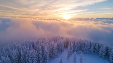 Fototapeta premium Aerial Perspective of Clouds Above a Forest at Sunset Stunning Winter Scenery