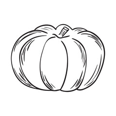 Hand Drawn pumpkin doodle. Sketch style icon. Decoration element. Isolated on white background. Flat design. Vector illustration.
