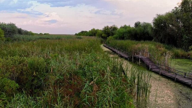 Flight above Jegricka Nature park, revealing a picturesque wooden footbridge spanning the marshy turquoise river.