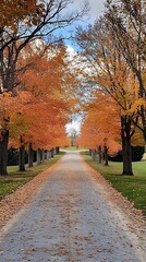 Fototapeta premium Gorgeous wallpaper of a tree-lined driveway embraced by autumn foliage.