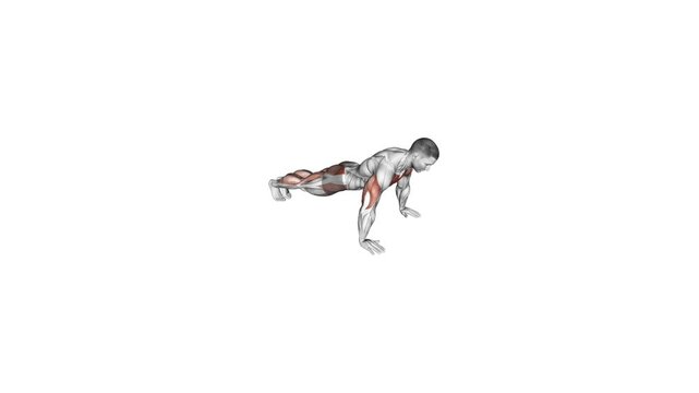 push-up jack muscles 3d anatomy exercise motion graphic muscle highlight workout fitness illustration video