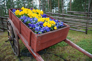 Old wooden cart displaying spring flowers in garden
