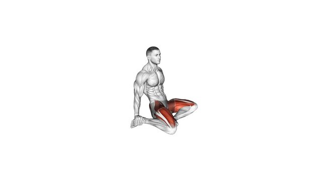 seated-quad-stretch anatomy exercise motion graphic muscle highlight workout fitness illustration video