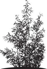 Natural silhouette of bushes with leaves on branches on white background.