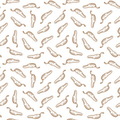 chili pattern Background. vintage chili background. pepper pattern background. chili doodle pattern background. hot chili pattern background.