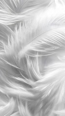 White feather background, elegant texture, white feather pattern, white feather material