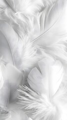 Fototapeta premium White feather background, elegant texture, white feather pattern, white feather material