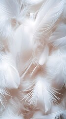 Obraz premium White feather background, elegant texture, white feather pattern, white feather material