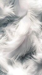 Fototapeta premium White feather background, elegant texture, white feather pattern, white feather material