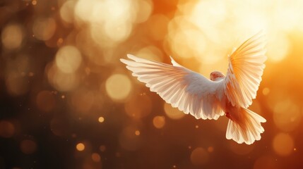 Obraz premium A graceful white dove spreads its wings, soaring in a sky filled with warm golden sunlight, symbolizing peace and freedom in a serene and tranquil setting.