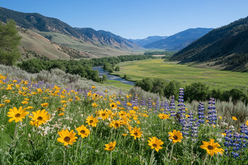 Obraz premium Panoramic alpine meadow in summer with colorful wildflowers, rolling green hills, snow-capped peaks, and a clear blue sky