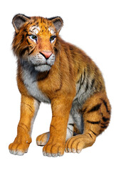 3D Rendering Big Cat Tiger on White