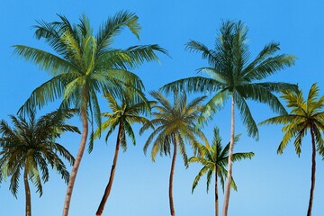 coconut tree Tropical palm tree with coconuts against a white background, perfect for summer vibes and beach-themed designs watercolor summer