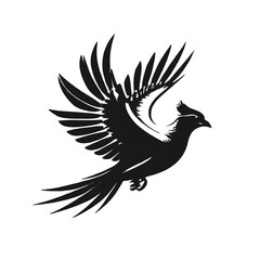 Fototapeta premium A black and white silhouette of a flying bird with outstretched wings 