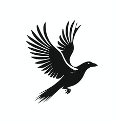 Fototapeta premium A black and white silhouette of a flying bird with outstretched wings 