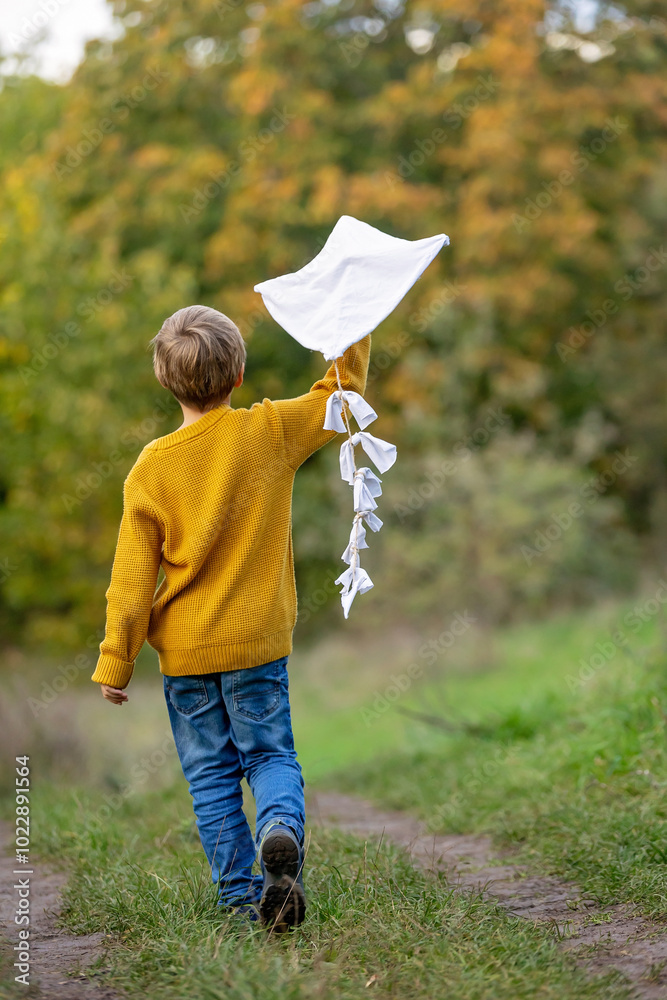 Poster Beautiful blond child, boy, playing with kite in a field