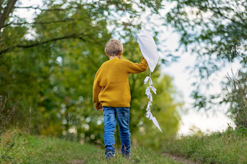 Beautiful blond child, boy, playing with kite in a field