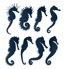 Set of silhouettes of different sea horses.  © designer_an