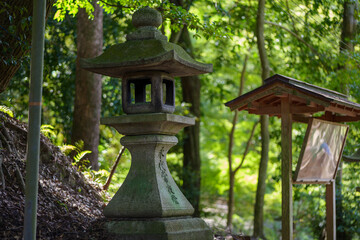 A Taste of Kyoto - Fushimi Inami